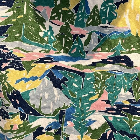 The North Face Youth Medium Jaiden Green Valley Allover Print Pullover Hoodie - Picture 7 of 12